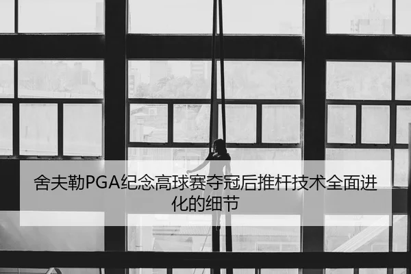 she-fu-lei-ji-nian-gao-qiu-sai-duo-guan-hou-tui-gan-ji-shu-quan-mian-jin-hua-de-xi-jie-2-930.jpg